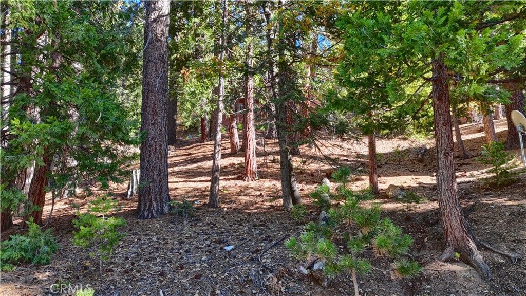 Property Photo:  7232 Yosemite Park  CA 95389 