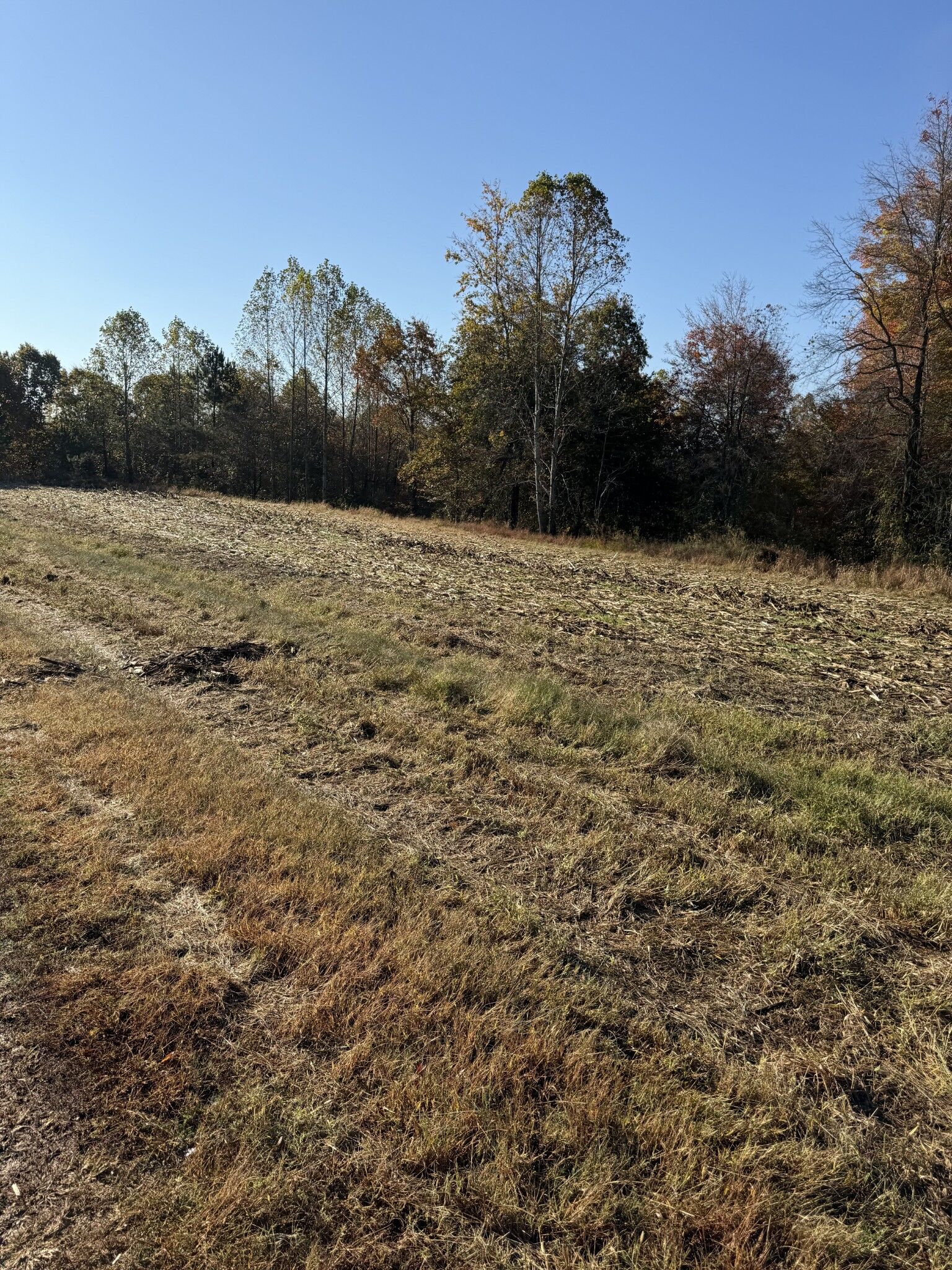 Property Photo:  0 Oak Grove Road  TN 37150 