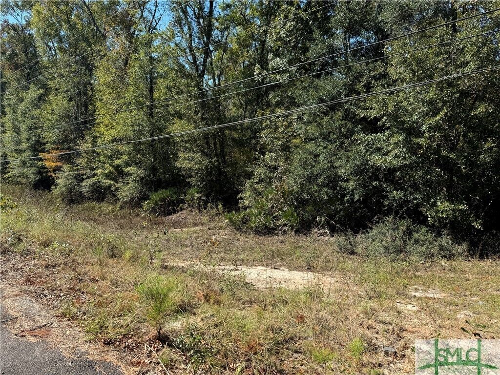 Property Photo:  260 Old Highway 204 Road  GA 31302 