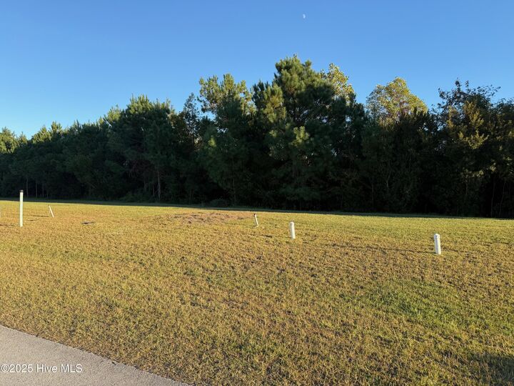Property Photo:  157 Whispering Pine Lane  NC 28445 