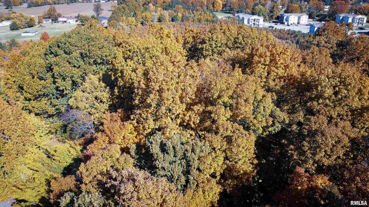 Property Photo:  Tbd Conestoga Trail  IL 62918 