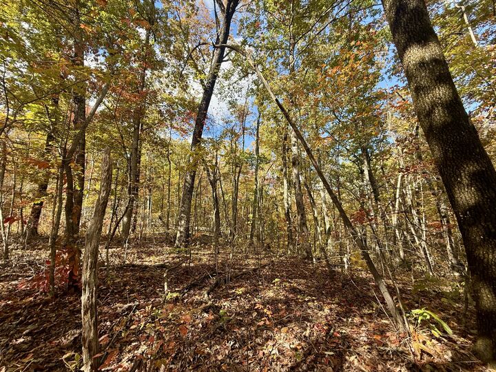 Property Photo: Lot 77/78 Red Oak Lane TN 37381