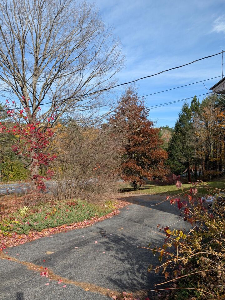 Property Photo:  7707 Nys Route 9N  NY 12932 