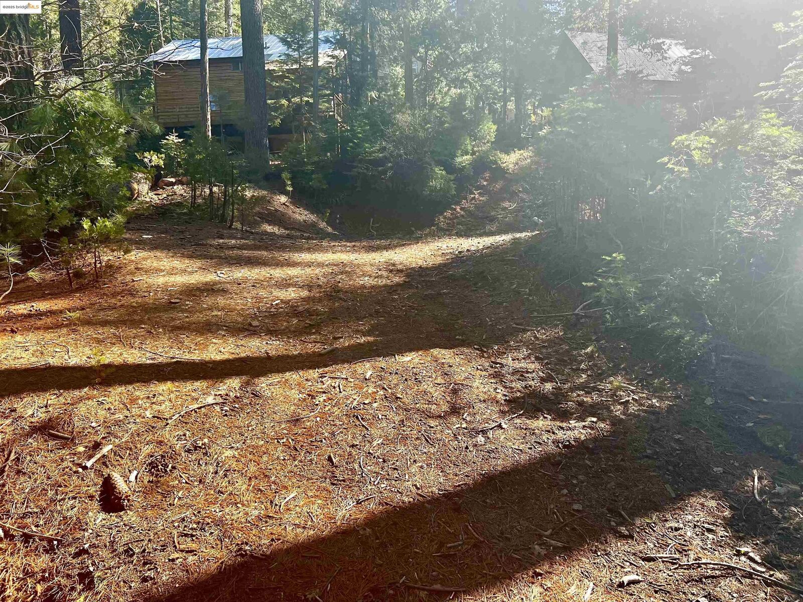 Property Photo:  25455 Wheeler Rd  CA 95335 