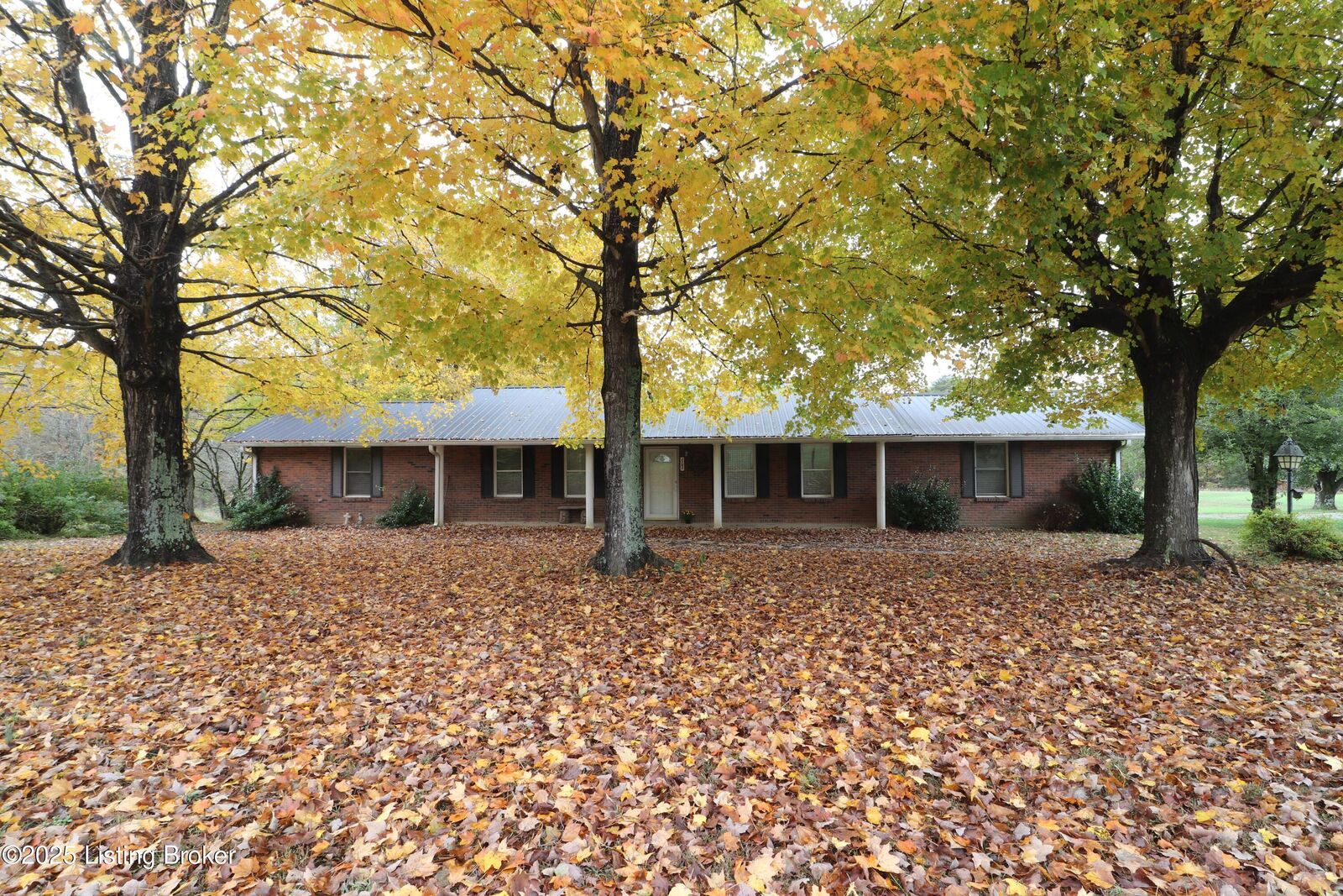 Property Photo: 1141 Grindstone Rd KY 42726