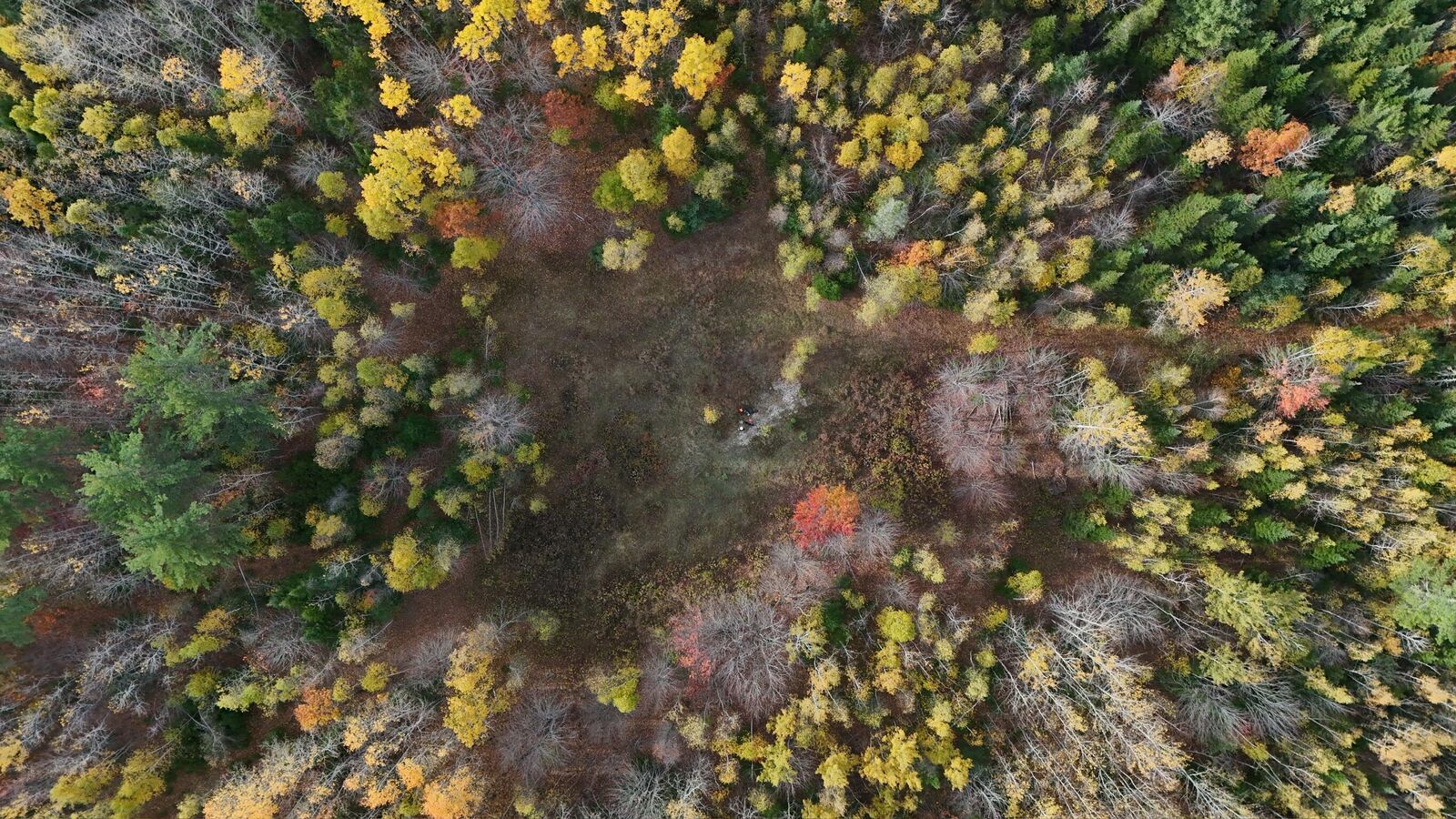 Property Photo: 00 Babcock Road ME 04444