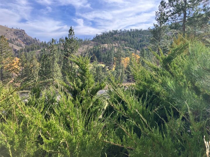 Nhn Medicine Springs Road  Conner MT 59827 photo