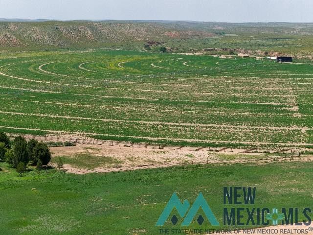 Property Photo:  7342 N Main Highway  NM 88201 