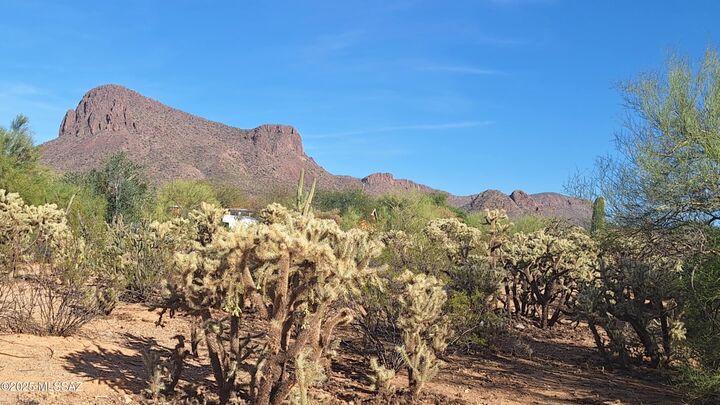 Property Photo:  10455 W Mars Road  AZ 85743 