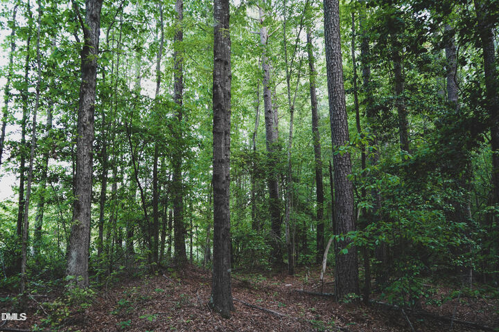 Property Photo: Lot 1 Arthur Wilder Road NC 27882
