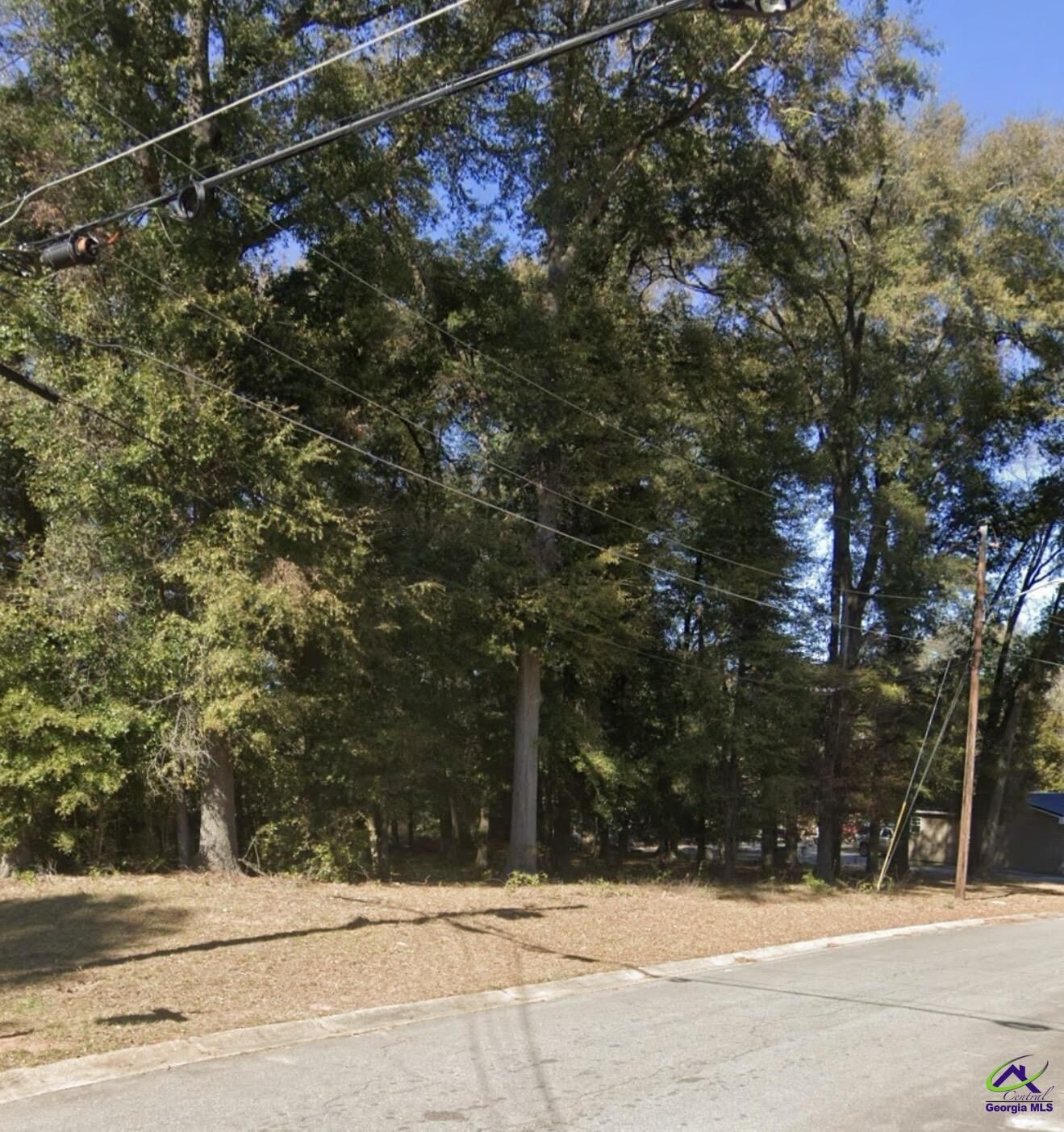 Property Photo: 1012 King Boulevard GA 31069