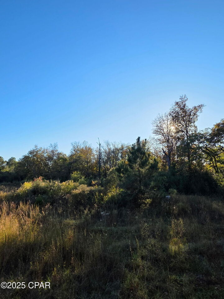 Property Photo: 2785 Otter Pond Road FL 32464