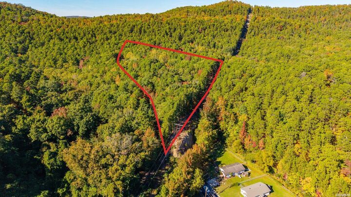 Property Photo:  000 Vivian Street  AR 71901 