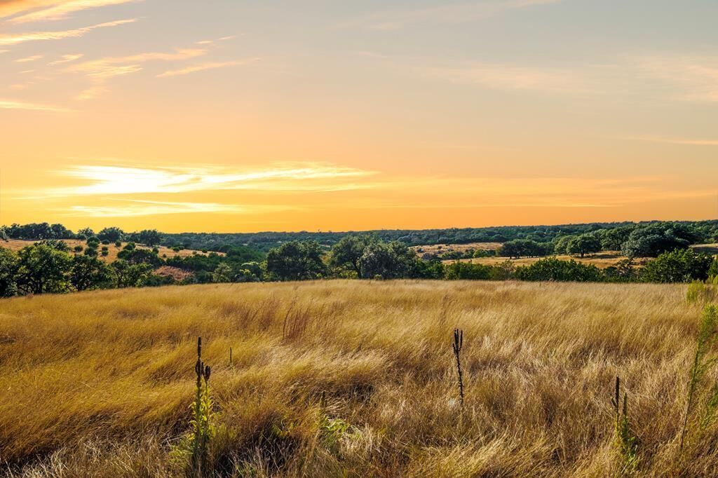 Property Photo: Lot 10 N Shapen Springs Rd TX 78028