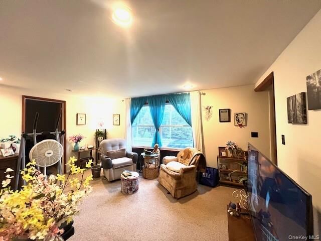 Property Photo: 250 County Road 21 NY 12719