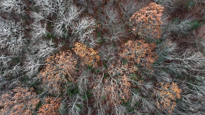 Property Photo: 603 Shepard Hill Road ME 04862