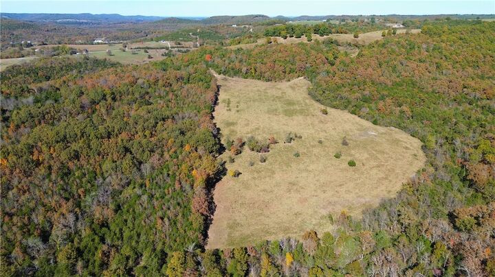 Property Photo:  160 Acres Forgiveness Lane  AR 72601 