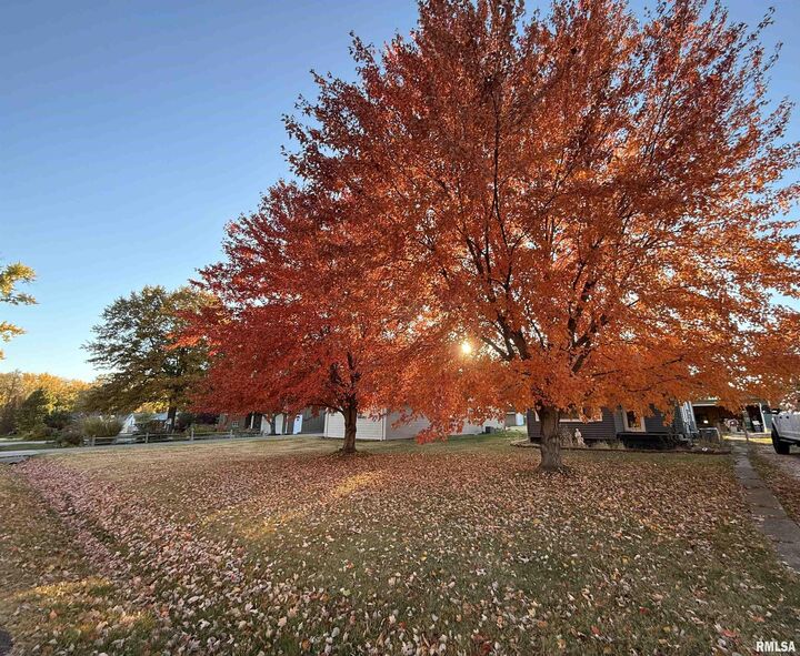 Property Photo:  120 Lakewood Avenue  IL 61611 