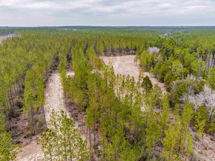 Property Photo: 8997 Indian Ford Rd Parcel A 22+/- Acres (Approximately) FL 32570