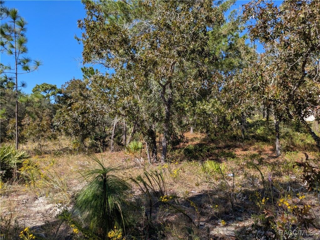 Property Photo: 5 Dahlia Court N FL 34446