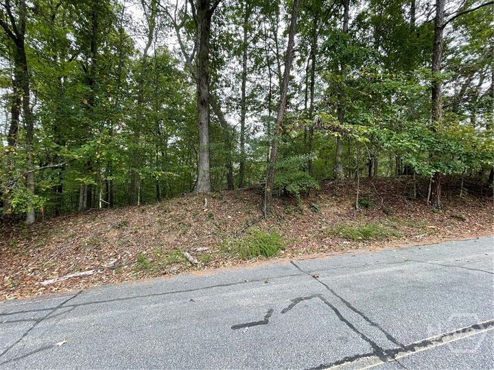 Property Photo: Lot 296 Oconee Avenue SC 29693