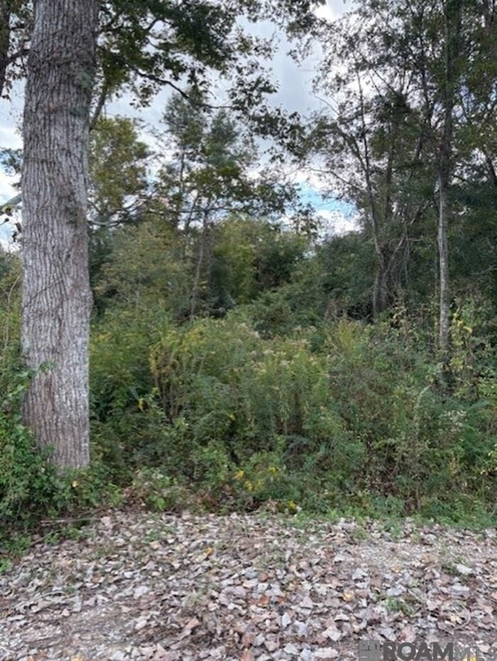 Property Photo: Cornerview Rd LA 70737