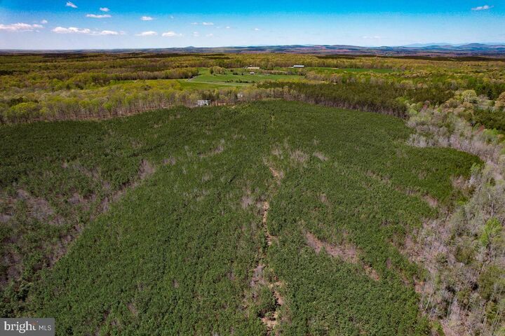 0 Gilliam Mill Road  Dillwyn VA 23936 photo