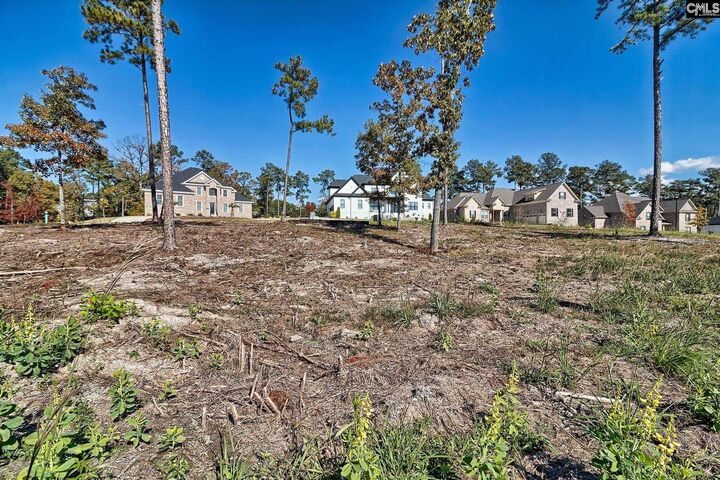 Property Photo:  183 Coopers Nursery Rd  SC 29045 