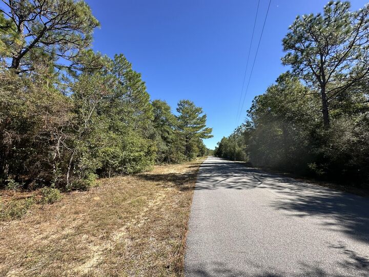 Parcel B Bear Head Road  Crestview FL 32539 photo