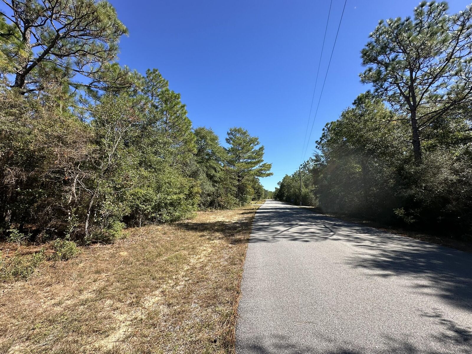 Property Photo: Parcel B Bear Head Road FL 32539