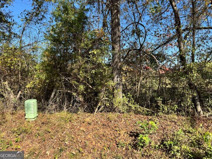 Property Photo: 0 Taylor Road Tract 2 GA 30648