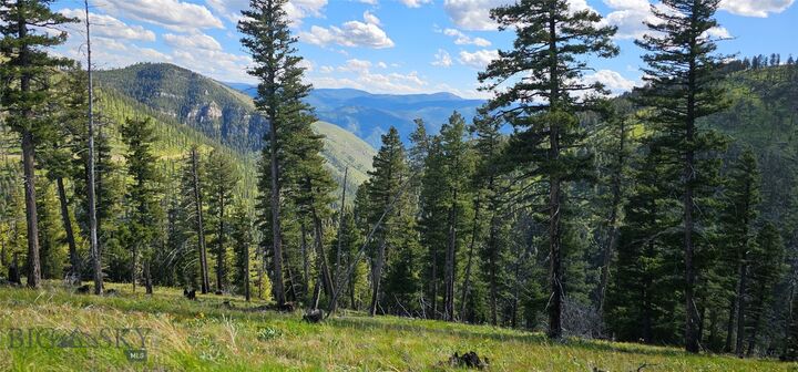 Property Photo:  4 Tract Garnet Range  MT 59832 