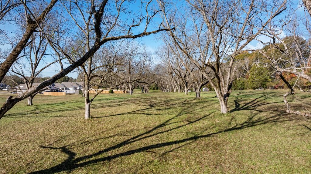 Property Photo: 128 Chinaberry Street GA 31822