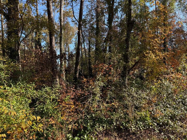 Property Photo:  0 Apache Road  GA 30233 