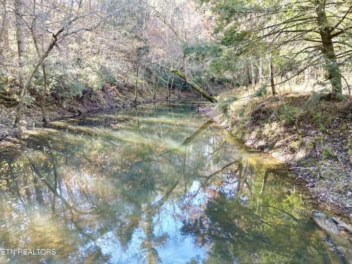 Property Photo: Daddy'S Creek Trail - 7.92 Ac. TN 38555