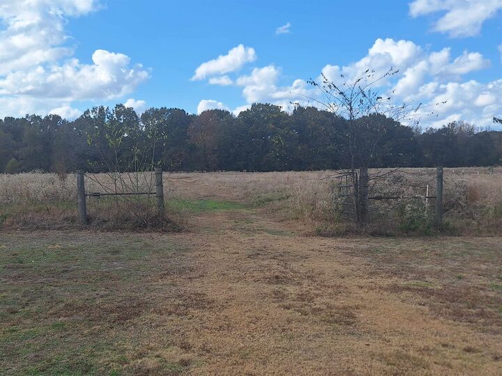 Property Photo: Tbd Cr 3070 TX 75558