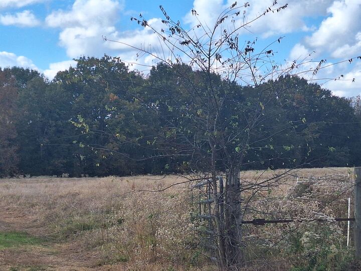 Property Photo: Tbd Cr 3070 TX 75558