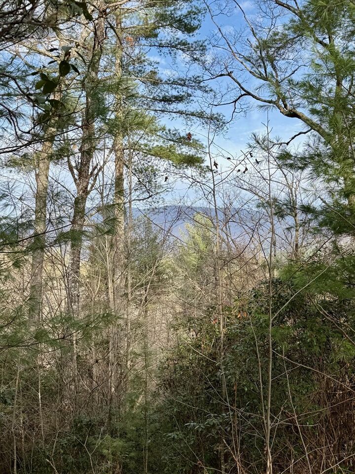 Property Photo:  Lot 26 Our Hidden Mountain  NC 28906 