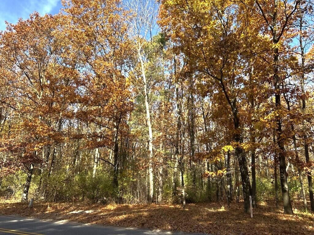 Property Photo: Vl Burroughs Street NE MI 49331