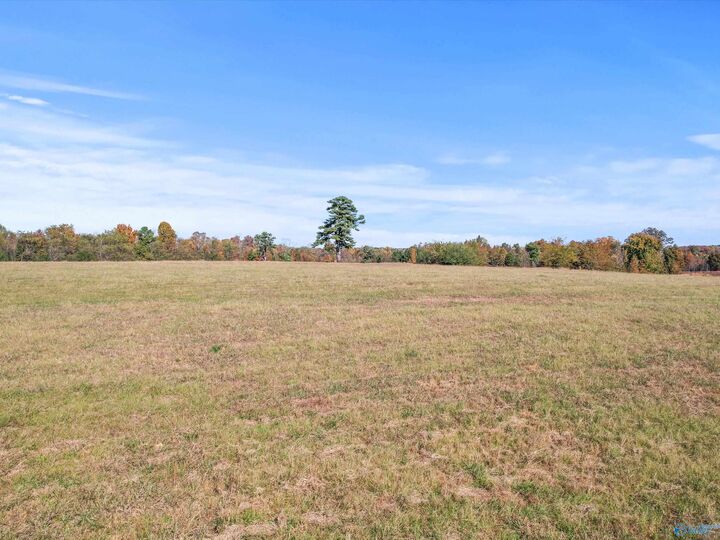 Property Photo: 99+/- Acres Hobbs Loop Road AL 35739
