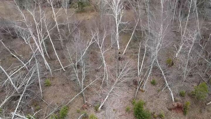 Property Photo:  Acreage Peakes Road  PE C0A 1S0 