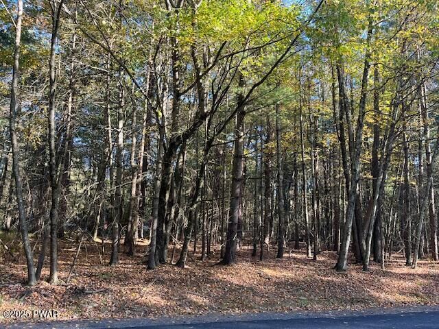 Property Photo:  Lot 36 Fox Road  PA 18328 