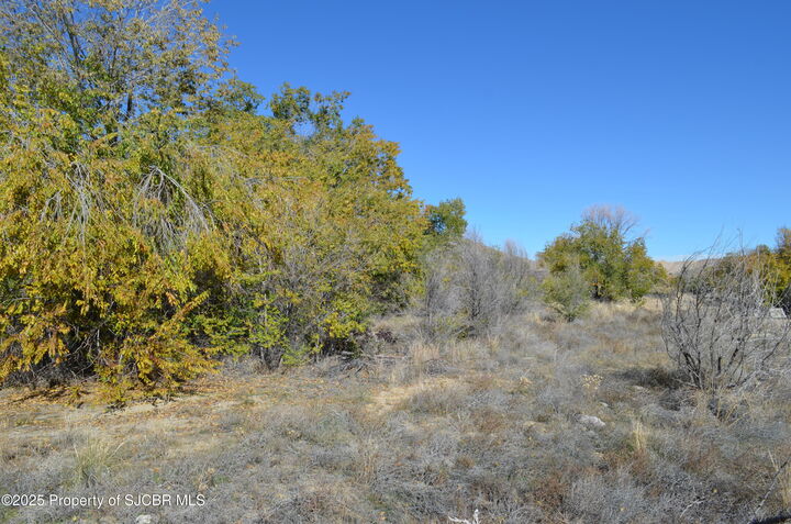 Property Photo:  Nya Road 3260  NM 87410 