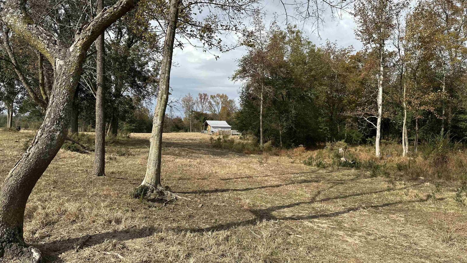 Property Photo:  Tbd Mt Carmel Rd  AL 35622 - FALKVILL 