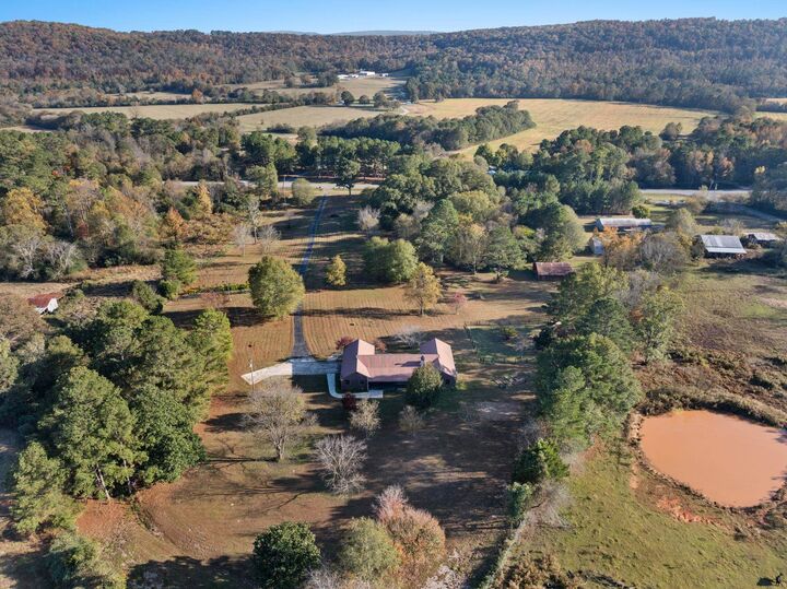 Property Photo:  55101 State Hwy 79  AL 35031 - BLOUNTSV 