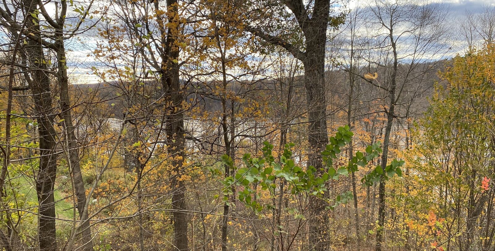 Property Photo:  126 Carmen Hill Road  CT 06776 