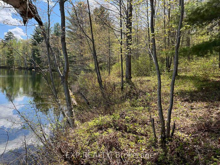 Property Photo:  Lot 15 Sandy Shores Trail  ON K0J 1B0 