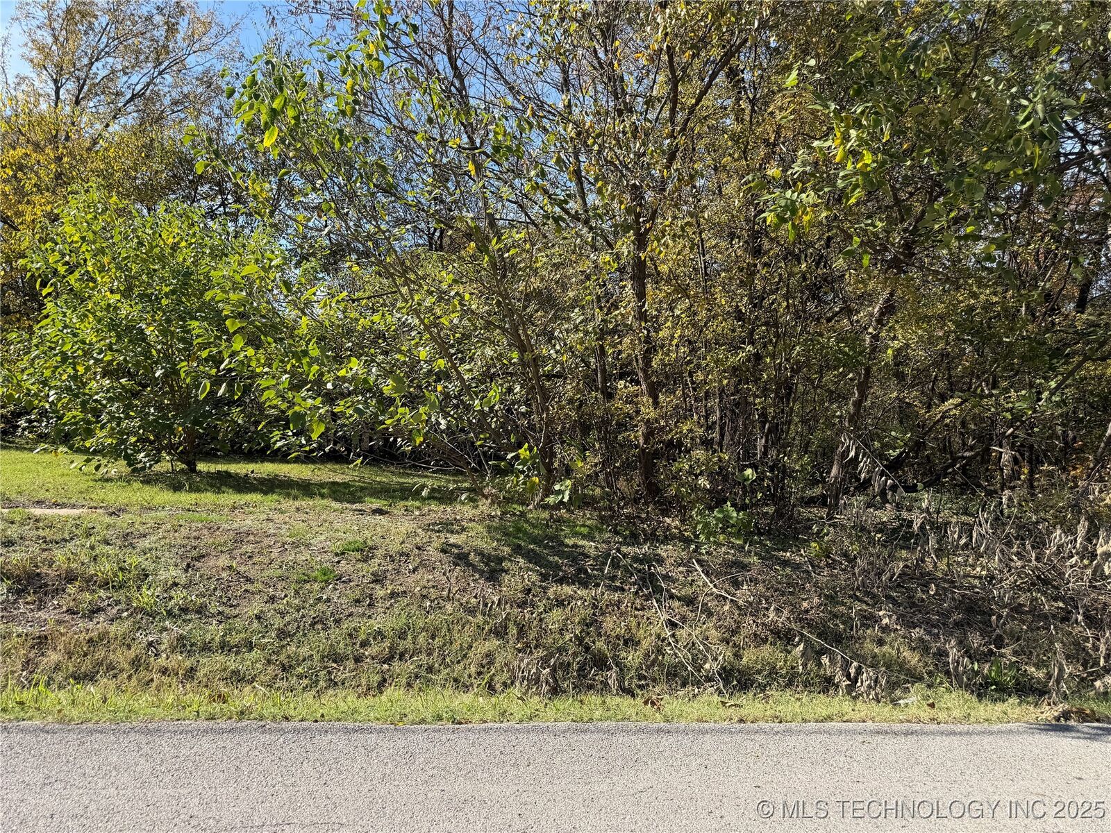 Property Photo:  303 N Smith Avenue  OK 74467 