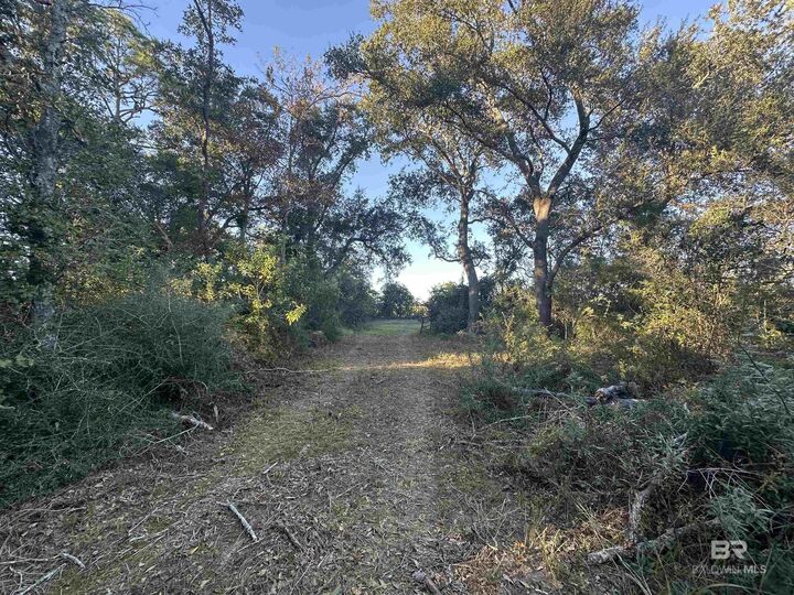 Property Photo: 0 Benton Road AL 36535