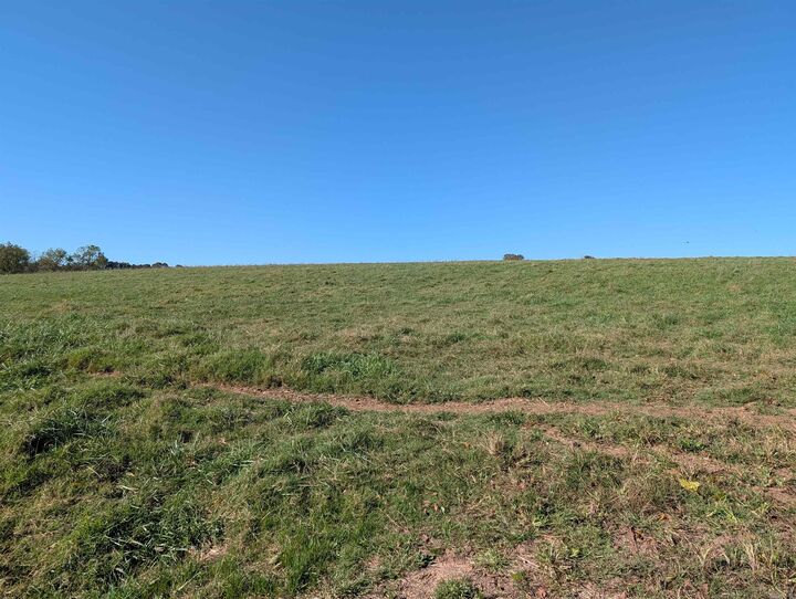 Property Photo: 397 Highway AR 72601